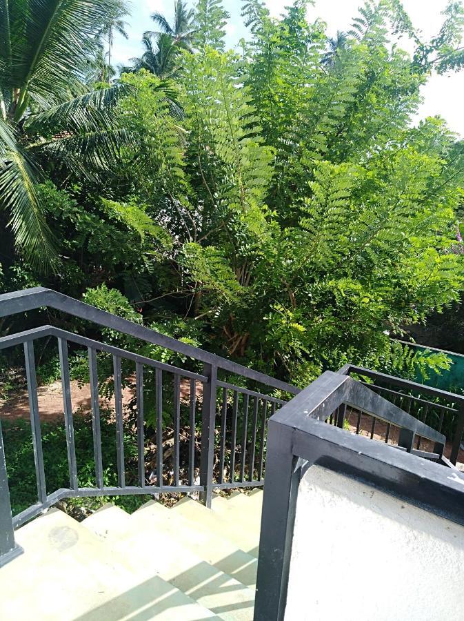 Dolphin Cottage Mirissa Extérieur photo
